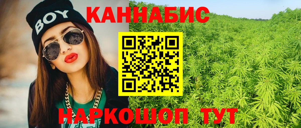 Санкт-Петербург  Конопля гибрид  Вход с VPN  Бошки марихуана OG Kush  Каннабис сатива 